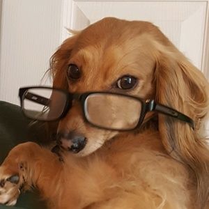 Meet your Posher, Joni